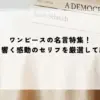 名言 ワンピース