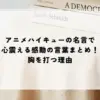 名言 アニメ ハイキュー