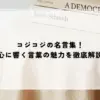 コジコジの名言集！心に響く言葉の魅力を徹底解説