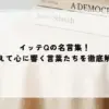 イッテQの名言集！笑えて心に響く言葉たちを徹底解説
