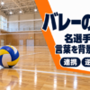 体育館の床と白いラインの上に置かれたバレーボールと題字